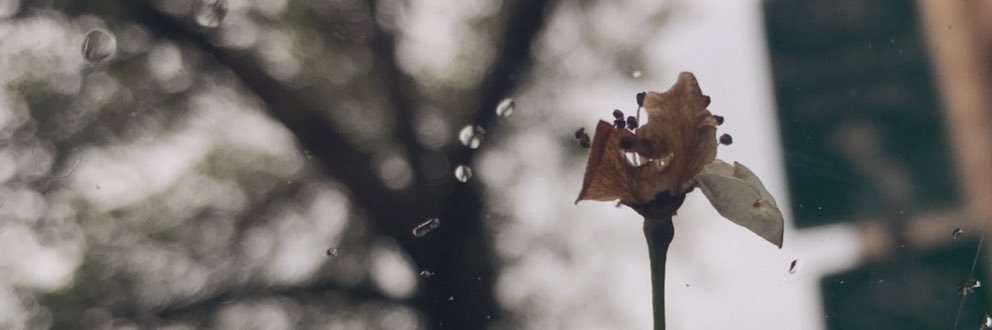 mysinderella_'s profile banner image
