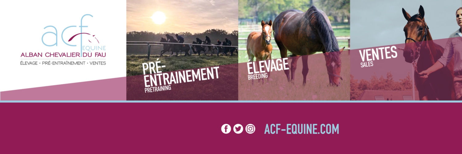 The Channel Consignment & ACF Equine banner