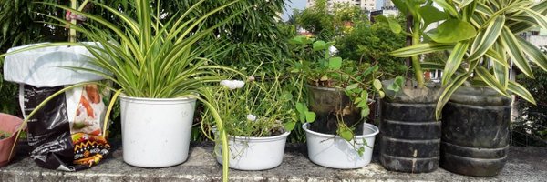 treeonplastics Profile Banner