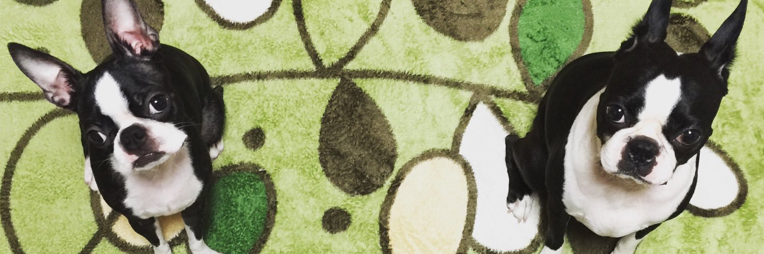 BARIEF's profile banner image