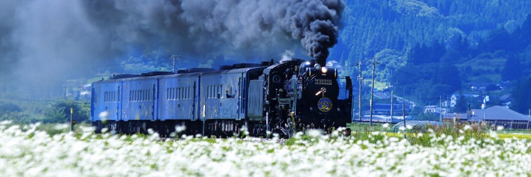 fu2no_1219's profile banner image