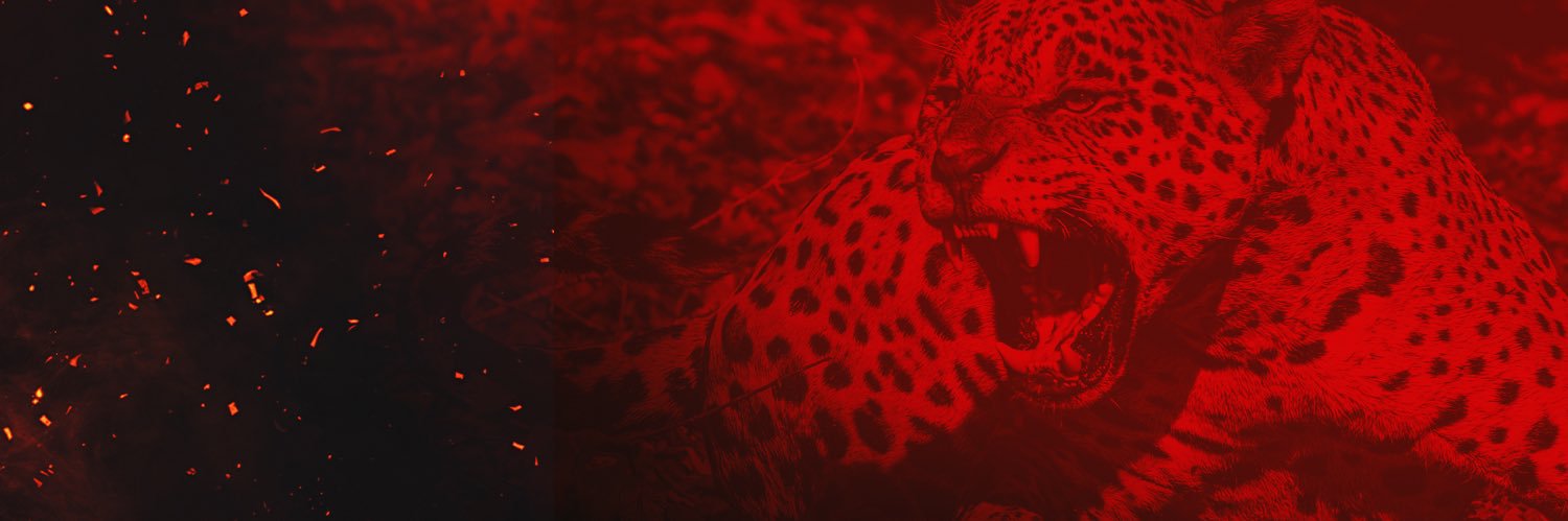 Horn Jags Baseball banner