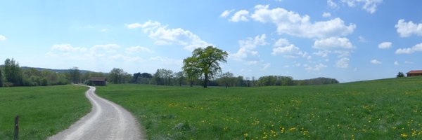 flyingwktk Profile Banner