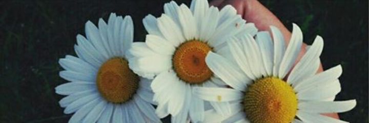 Jslsous's profile banner image