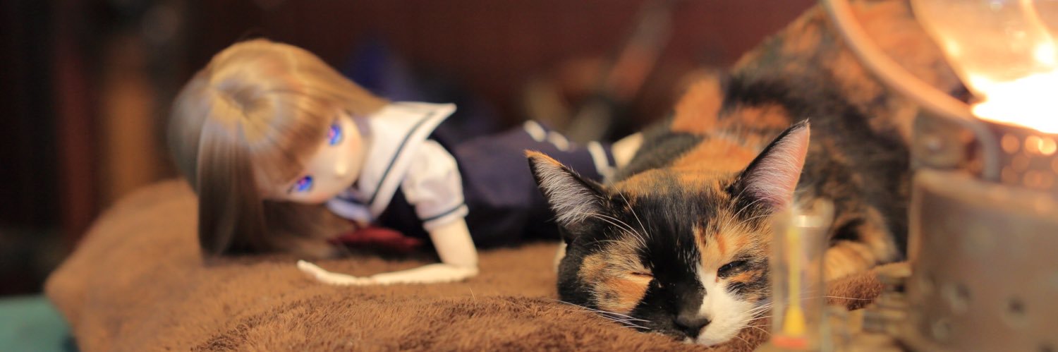 paserinko's profile banner image