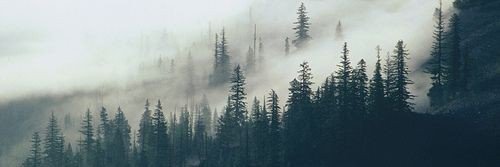 1_MaaNMok🌫 banner