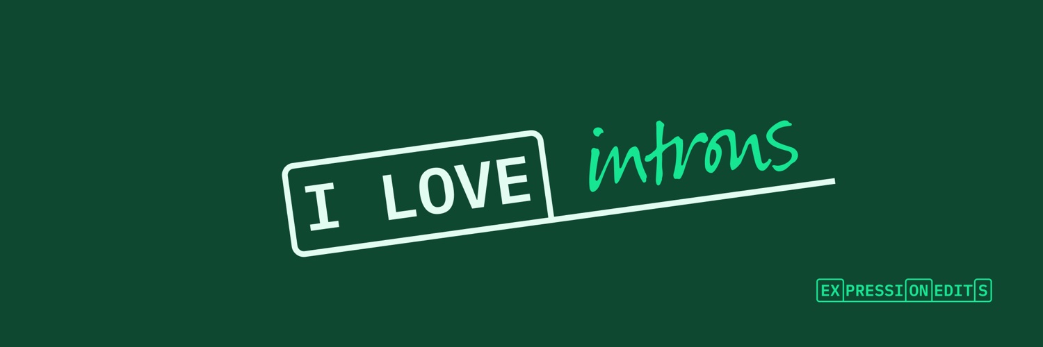 ExpressionEdits banner