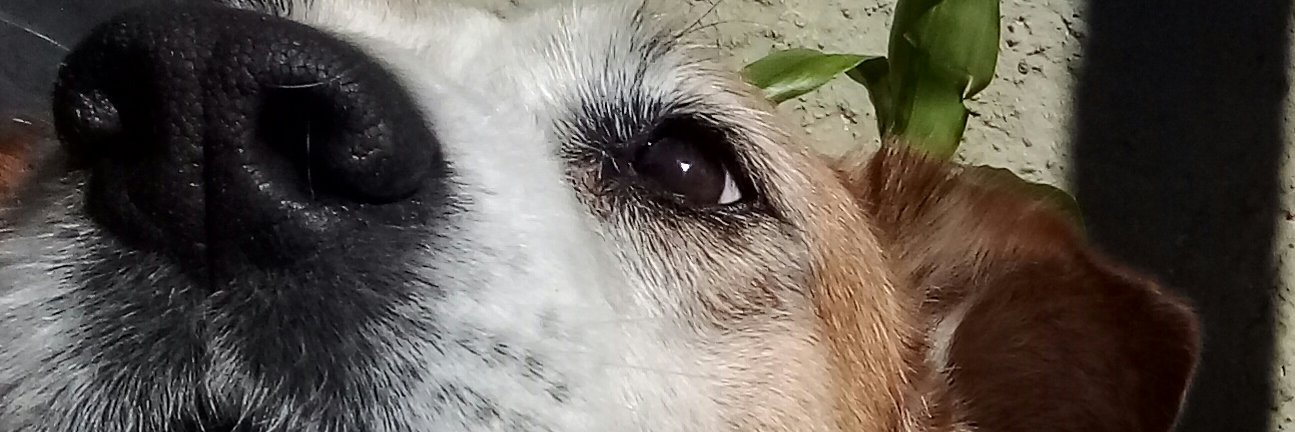 AliFontes301's profile banner image