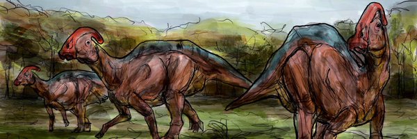 rlatkdwls Profile Banner