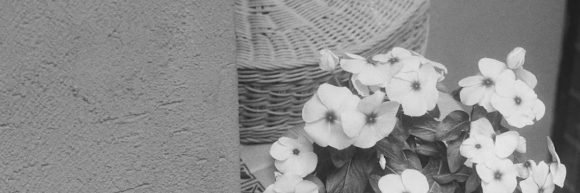 交換垢 banner