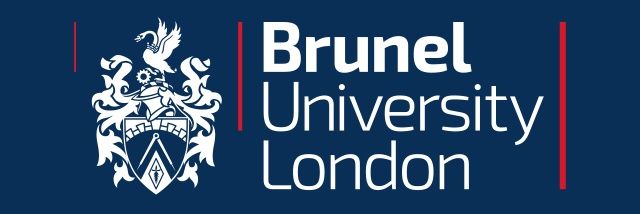 Brunel IDA banner