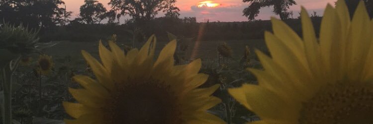 nmhanks2's profile banner image