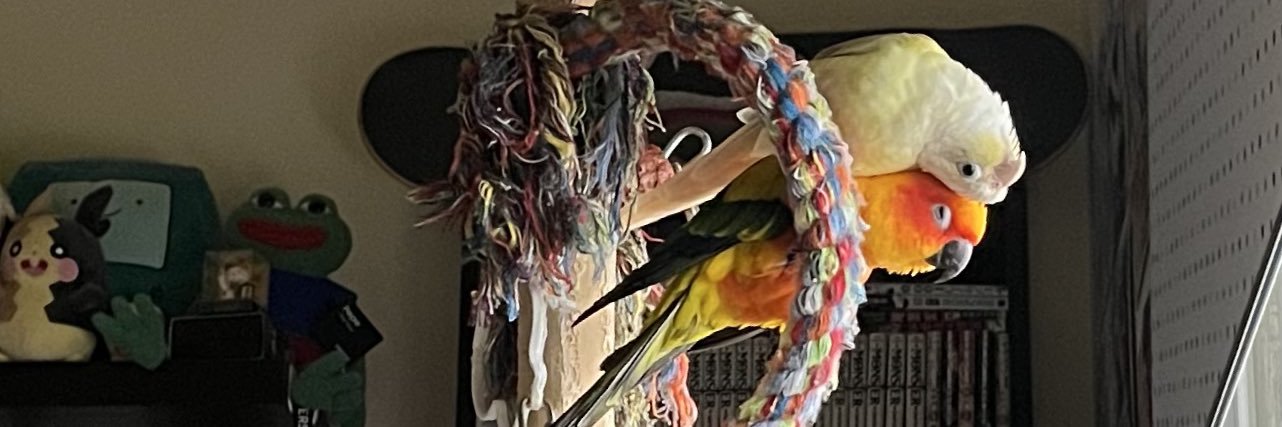ᴏᴛᴛᴏ's banner