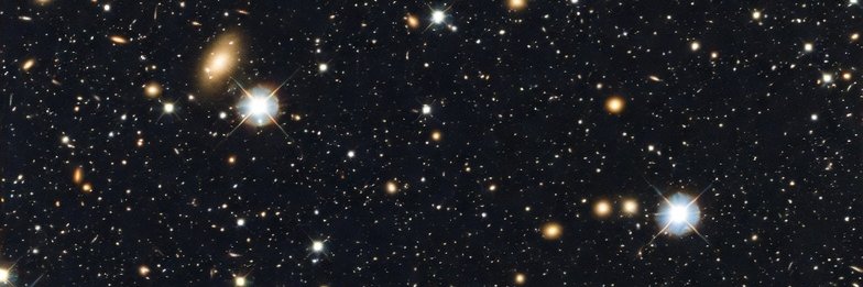 Maksim G. banner