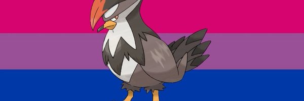 LocalStarlyFan Profile Banner