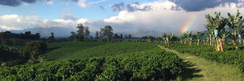 John Dutton, MD banner