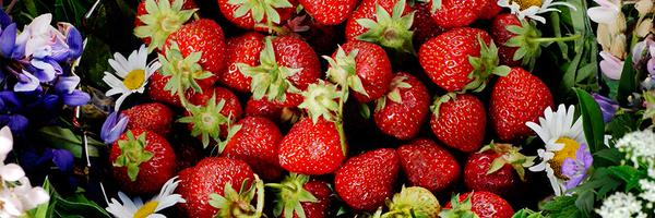 svdmat Profile Banner