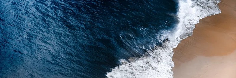 Fundación Reina Laúd banner