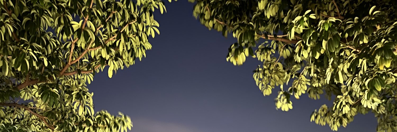 loveu_bebee's profile banner image