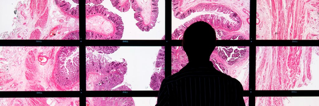 National Pathology Imaging Co-operative (NPIC) banner