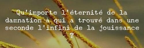 Matt ❤️💜 banner