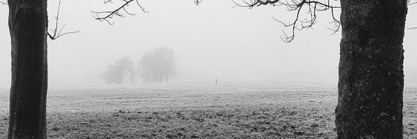 Selina__McT Profile Banner