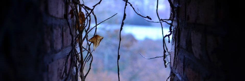 jhob's profile banner image