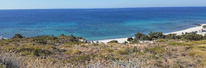 Νόμι Κούτσε banner