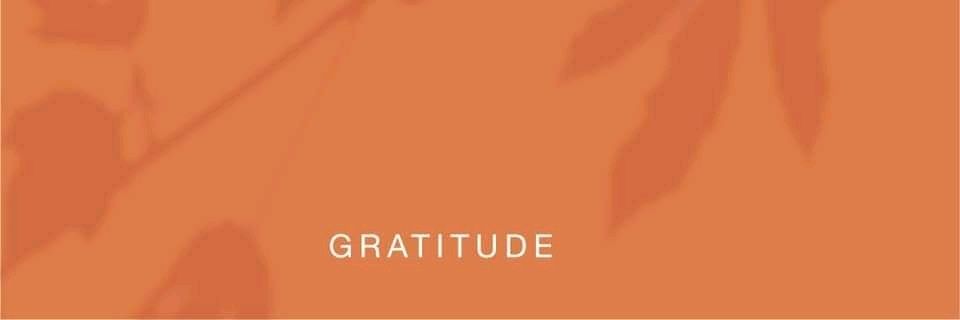 Deb_ree's profile banner image