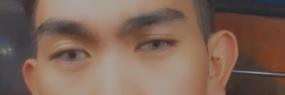 Bryan Dagandan banner
