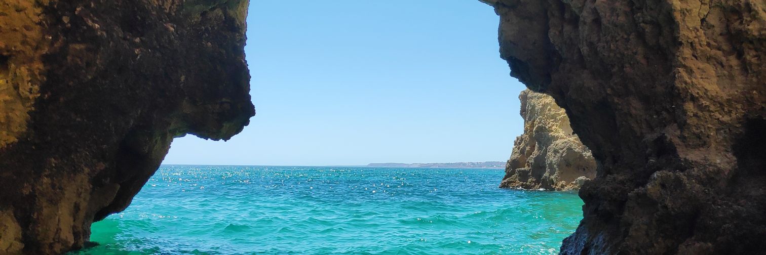 Fran Romero banner