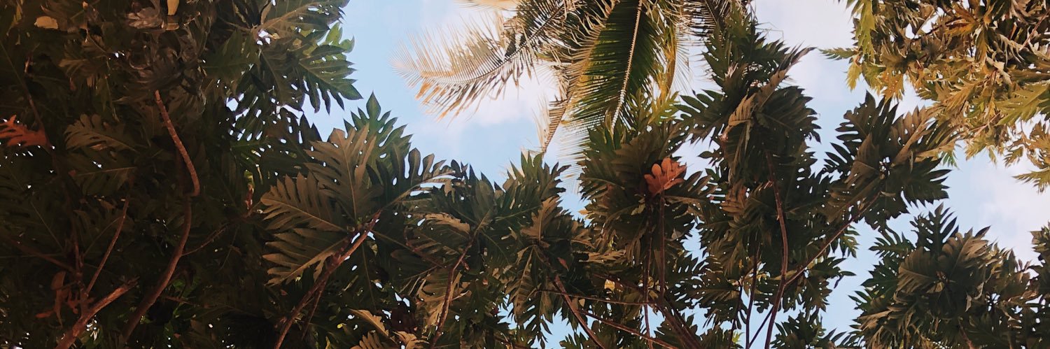 ndrsjasmine's profile banner image