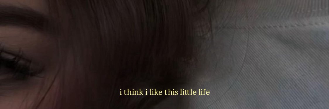 aliamhdli's profile banner image