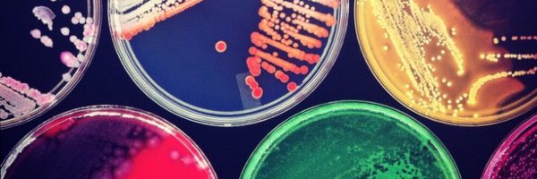 TheHealthcareS1 Profile Banner