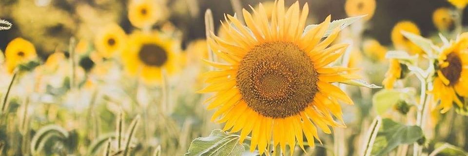 talktorobertwil's profile banner image