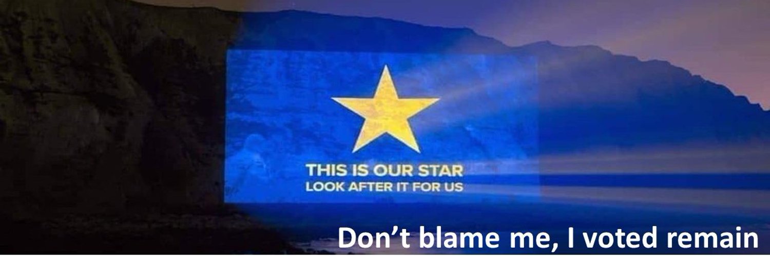 European Unity #FBPE 🇪🇺🇺🇦#Johnson’sOut #Rejoin Profile Banner