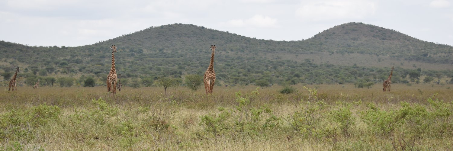 edwardgitonga's profile banner image