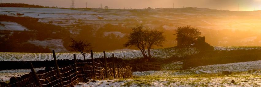 ♥Eлизавета♥ banner