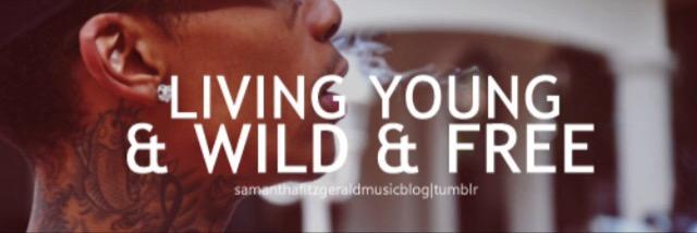 Tobbles banner