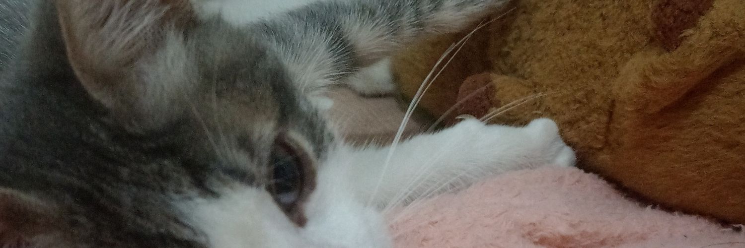 Brenschw's profile banner image
