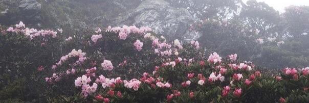 angelinademi's profile banner image