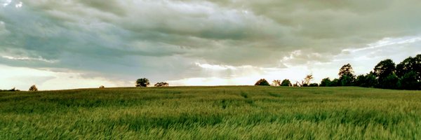 mathieu733 Profile Banner