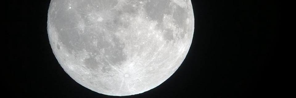 Patty_Barr's profile banner image