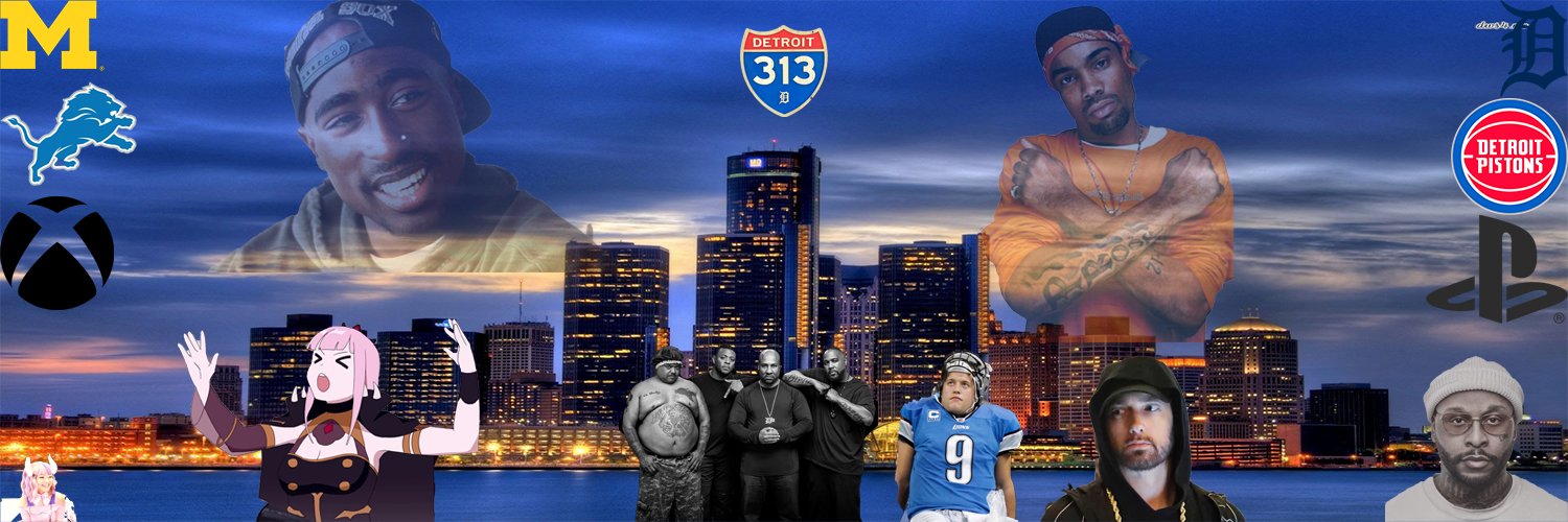 KD313's banner