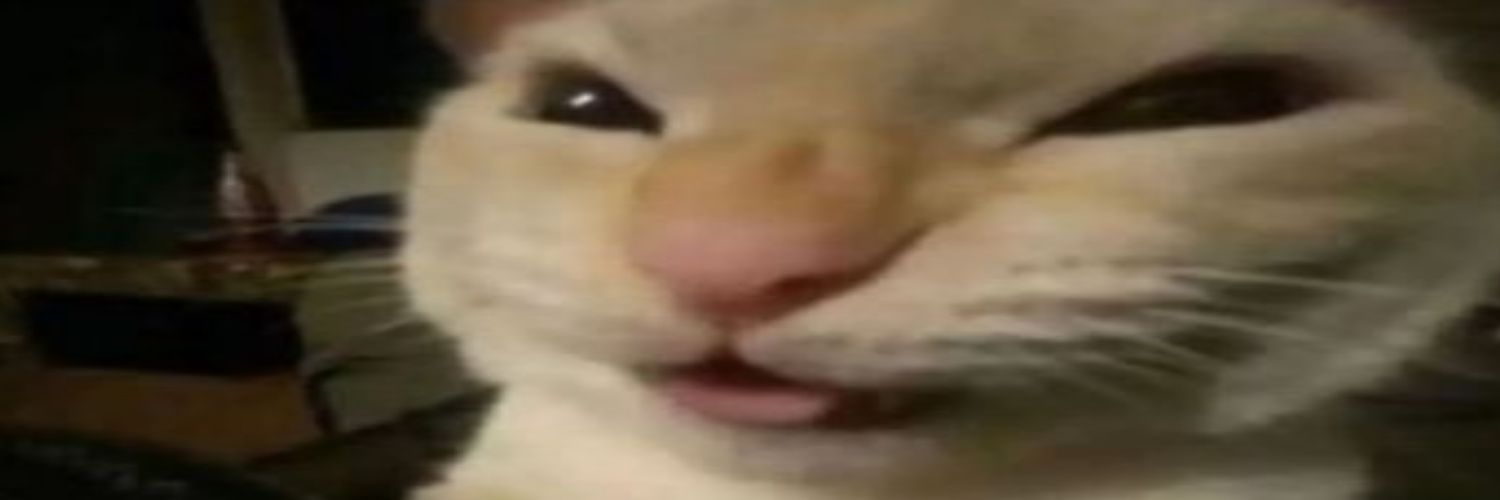 SrGreen73's banner