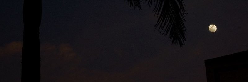 I banner