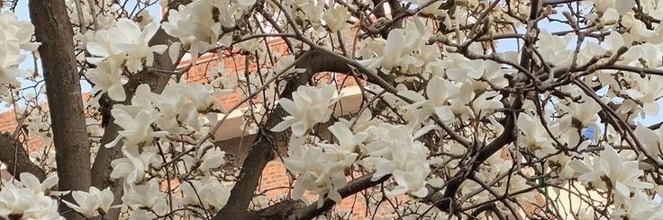 َ banner