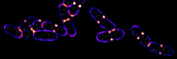 AVettiger Profile Banner