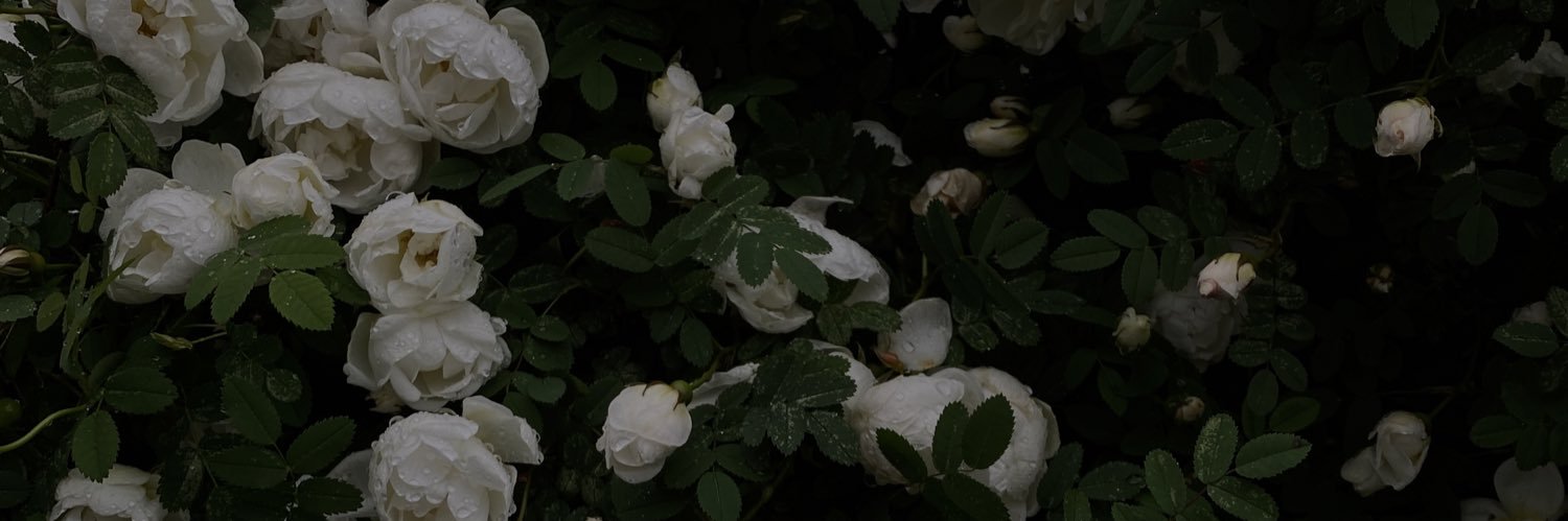 VARI_BORSH's profile banner image