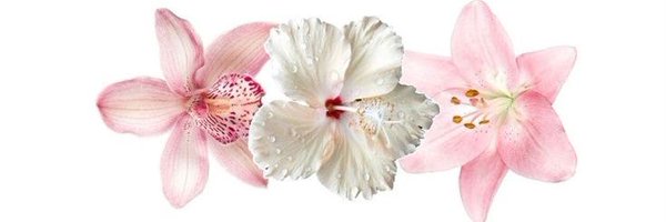 btflfairy Profile Banner